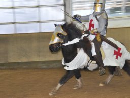 DSC_0306_web